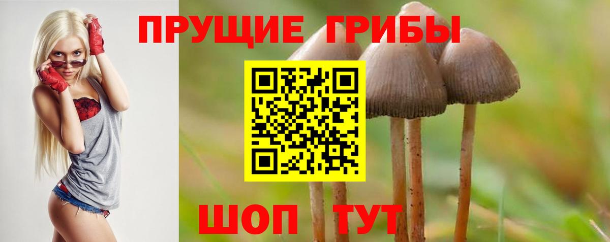 Псилоцибиновые грибы Cubensis Соликамск